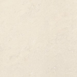 �{���� ϵ��